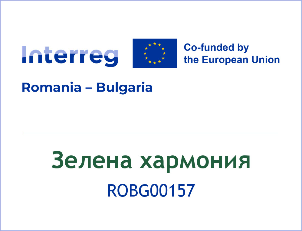 Зелена хармония — ROBG00157